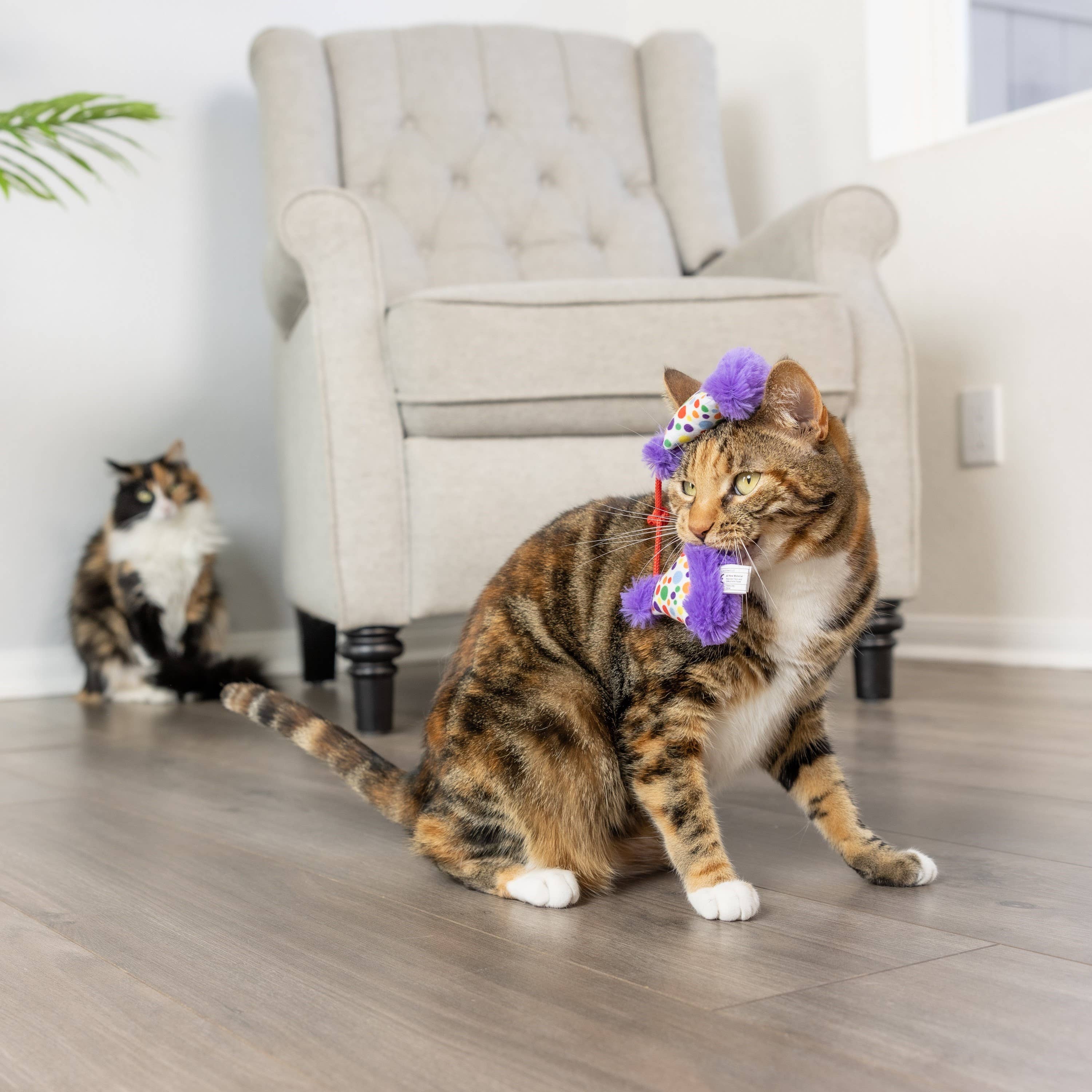 Huxley & Kent - Party Hats for Cats
